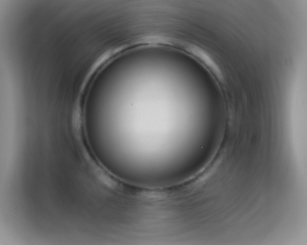 X0000114191040200910091228