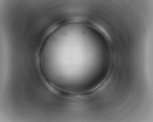 X0000114191042200910091228