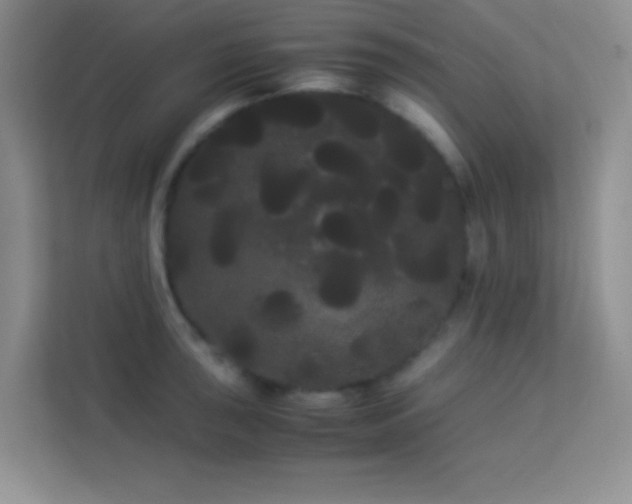 X0000114191043200910091228