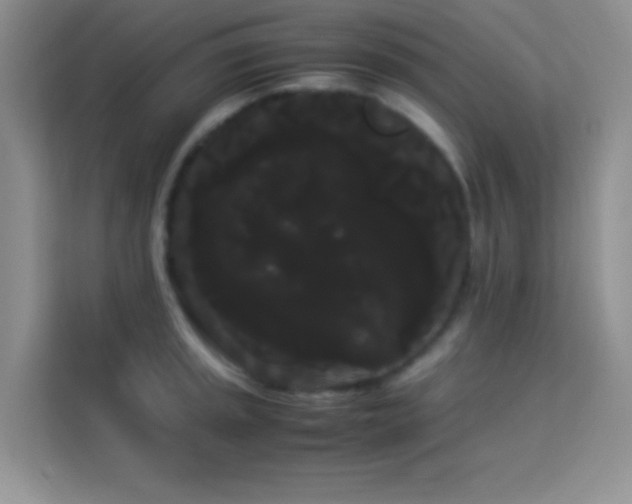 X0000114191045200910091228