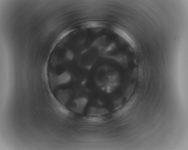 X0000114191047200910091228