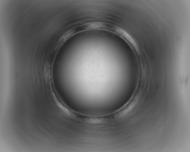 X0000114191049200910091228