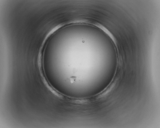 X0000114191053200910091228