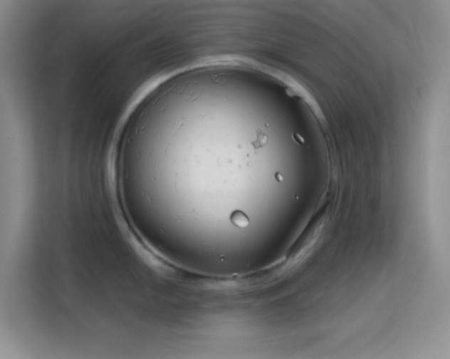 X0000114191054200910091228