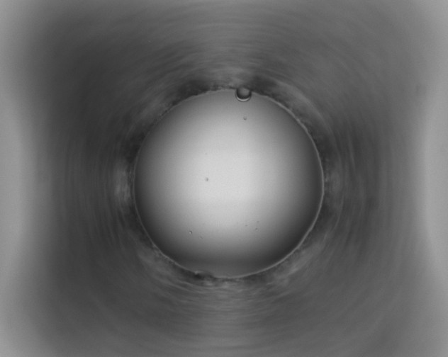 X0000114191058200910091228