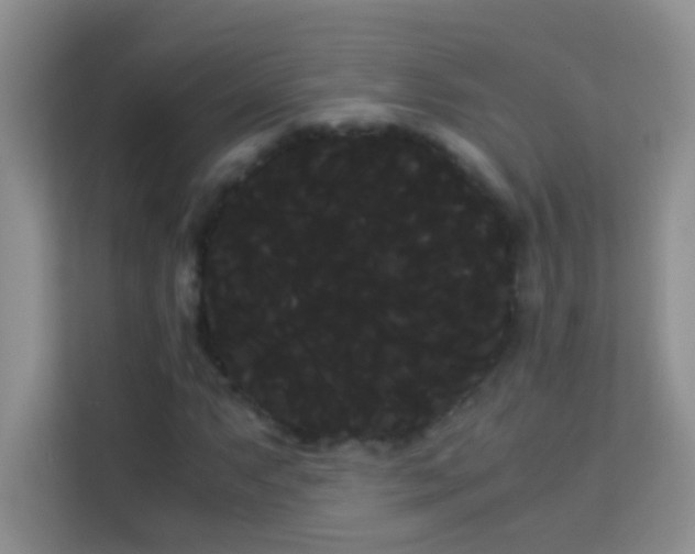 X0000114191063200910091227