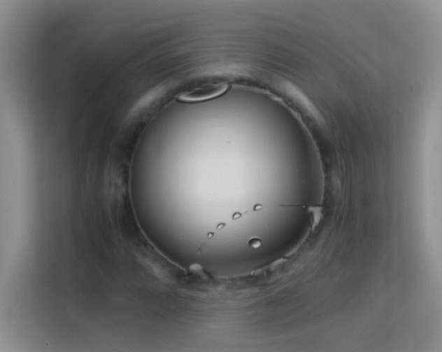 X0000114191064200910091227