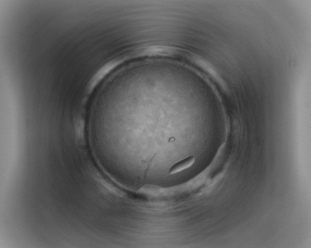 X0000114191066200910091227