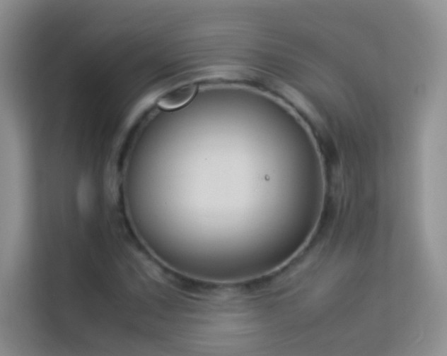 X0000114191067200910091227