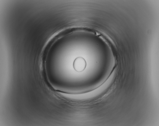 X0000114191069200910091227