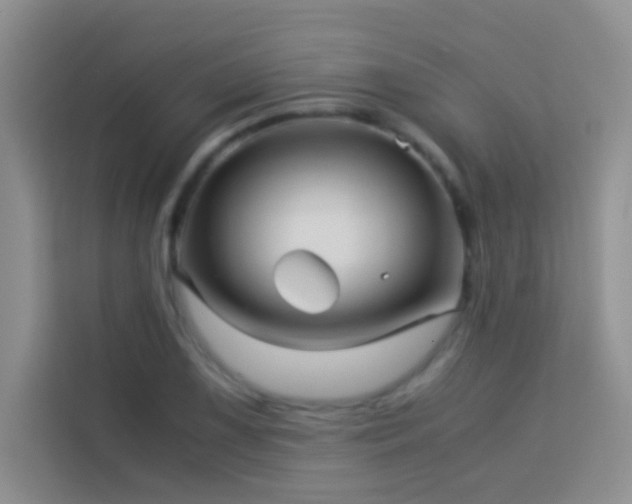 X0000114191075200910091227