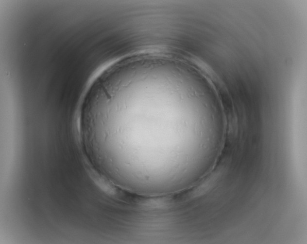 X0000114191078200910091227