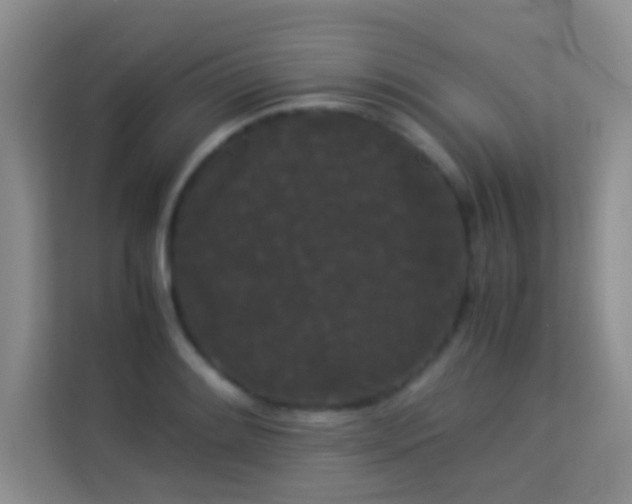 X0000114191084200910091227