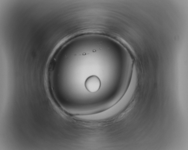 X0000114191085200910091227