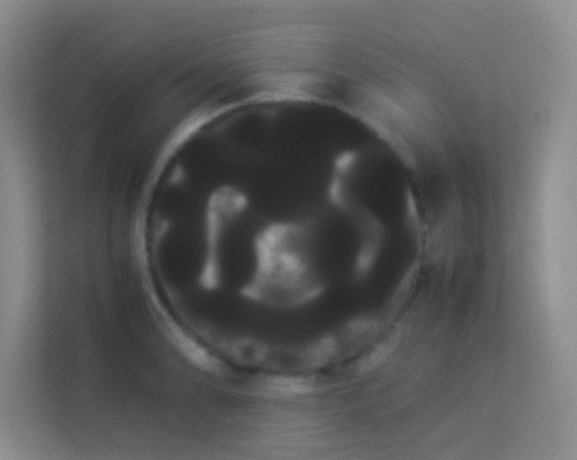 X0000114191086200910091227