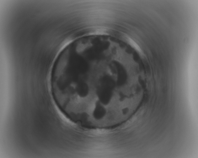 X0000114191087200910091227