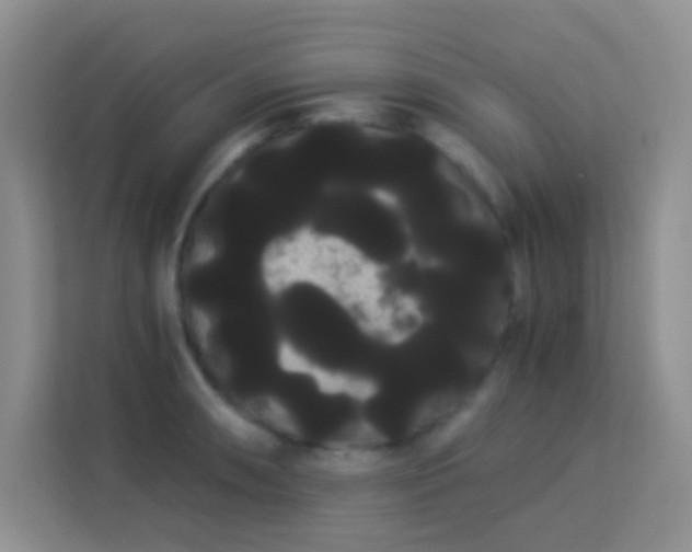 X0000114191090200910091227