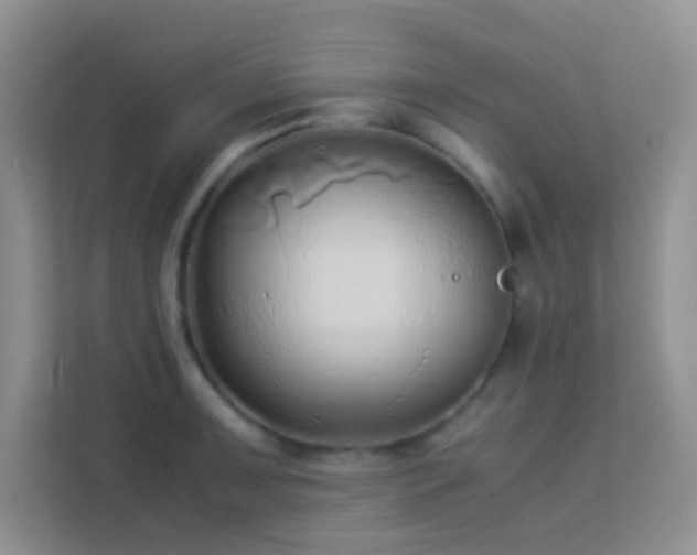 X0000114191091200910091227