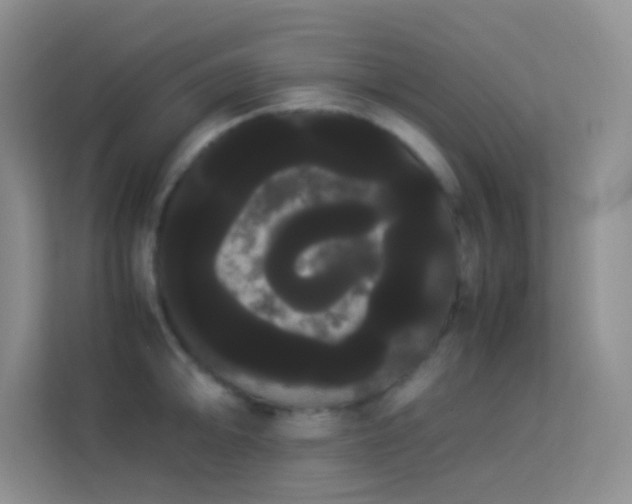 X0000114191094200910091227