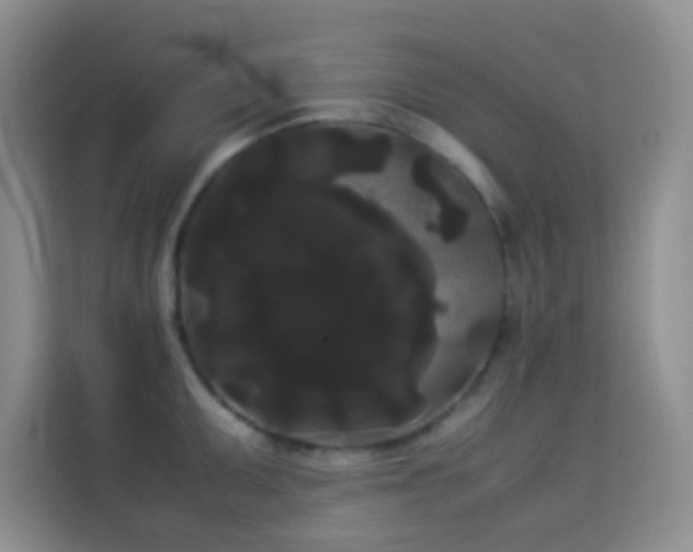 X0000114191095200910091227