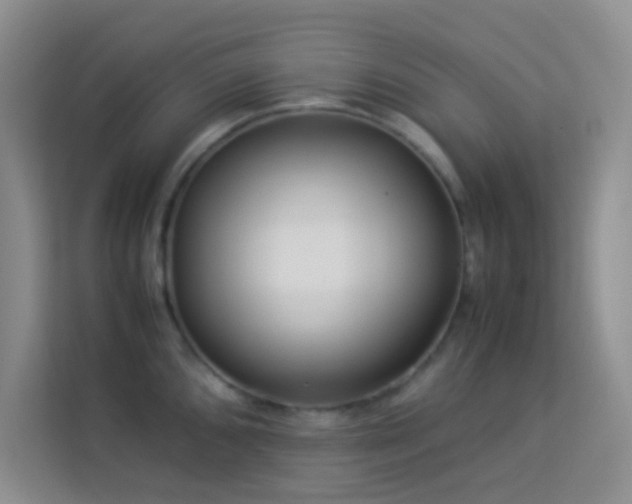 X0000114191096200910091227