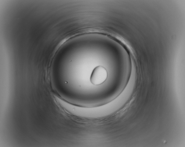 X0000114191097200910091227