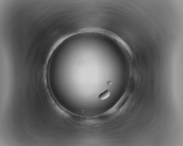 X0000114191102200910091227