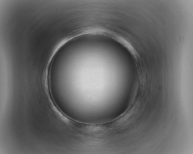 X0000114191103200910091227