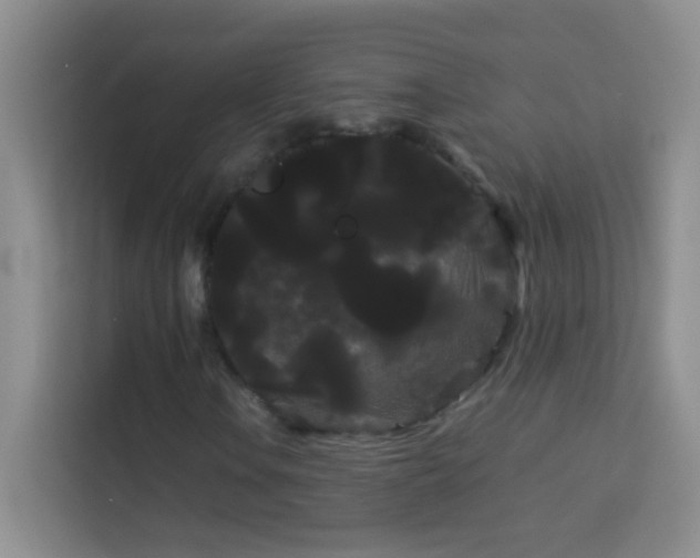 X0000114191106200910091226
