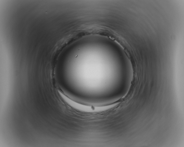 X0000114191108200910091226