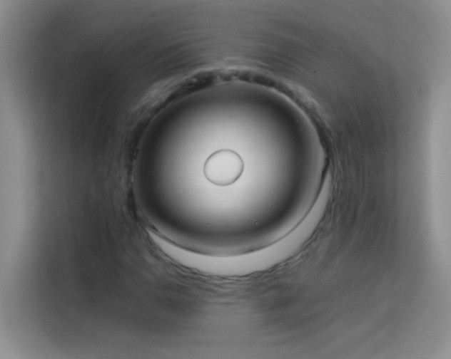 X0000114191110200910091226
