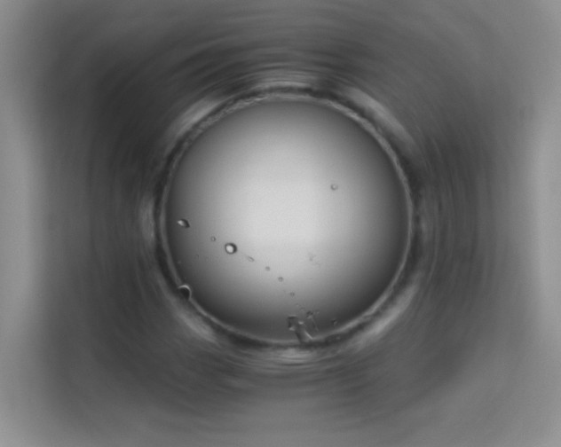 X0000114191113200910091226