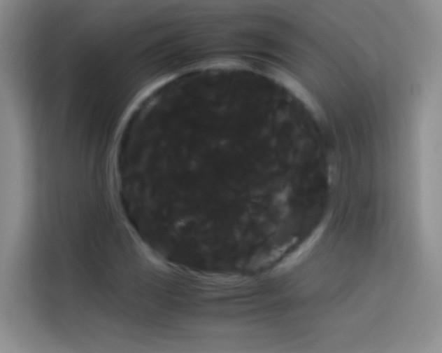 X0000114191117200910091226
