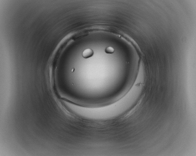 X0000114191123200910091227