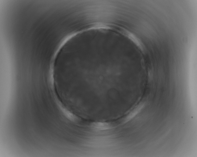 X0000114191124200910091227