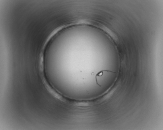 X0000114191126200910091227