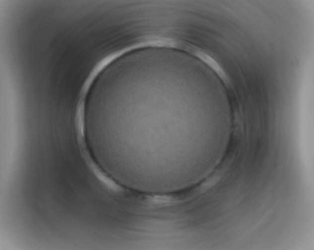 X0000114191128200910091227