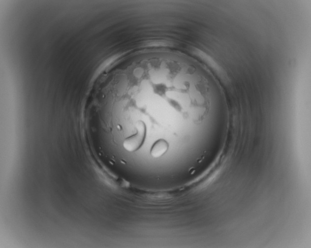 X0000114191129200910091227