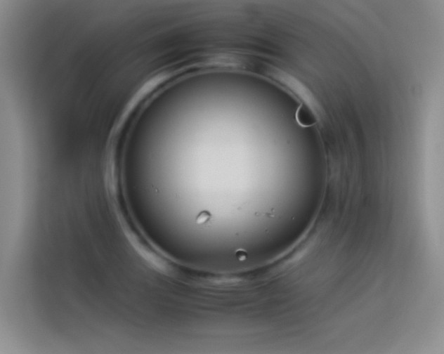 X0000114191131200910091227