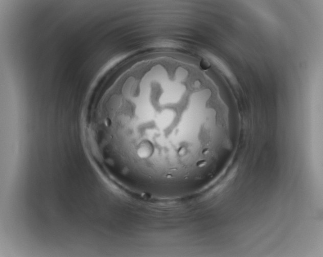 X0000114191133200910091227