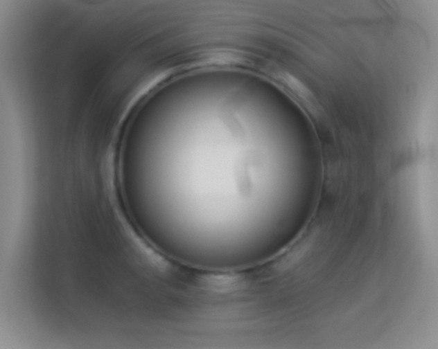 X0000114191134200910091227