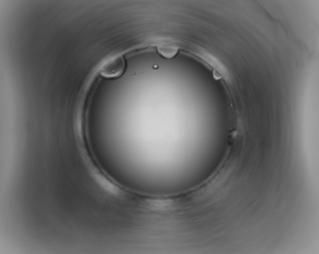X0000114191136200910091227