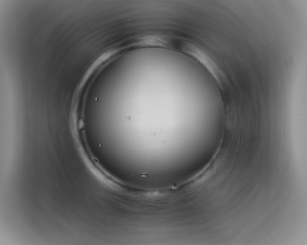 X0000114191139200910091227
