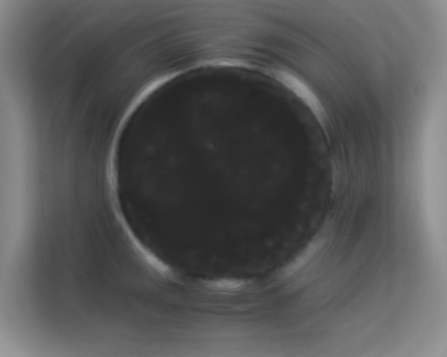 X0000114191141200910091227