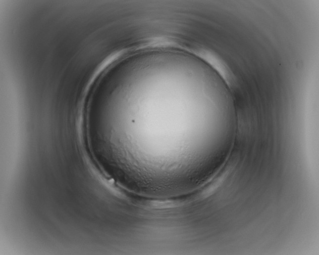X0000114191142200910091227