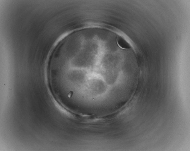 X0000114191143200910091227