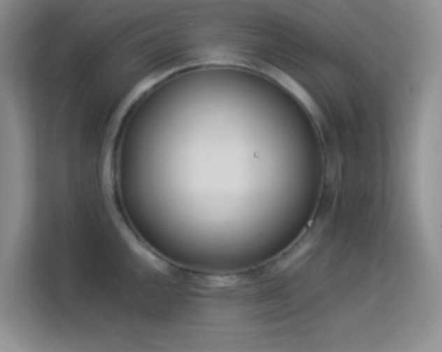 X0000114191144200910091227