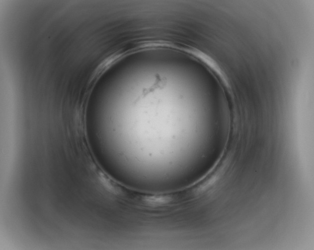 X0000114191145200910091227