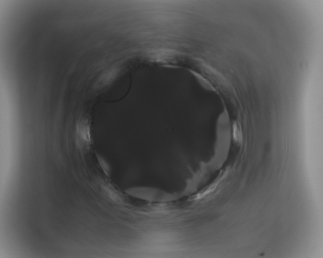 X0000114191155200910091226