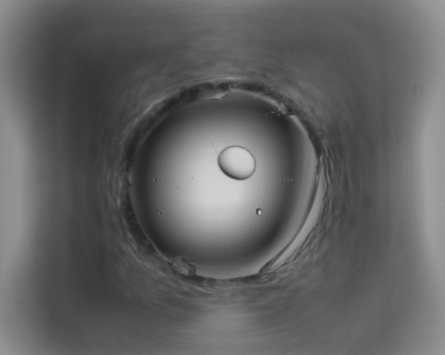X0000114191157200910091226